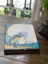 Load image into Gallery viewer, Yellow Bellied Sap Sucker - Giclee Canvas Print