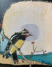 Load image into Gallery viewer, Yellow Bellied Sap Sucker - Giclee Canvas Print