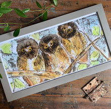 Load image into Gallery viewer, Norther Saw Whet Owl Print- Framed Archival Print