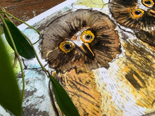 Load image into Gallery viewer, Norther Saw Whet Owl Print- Framed Archival Print