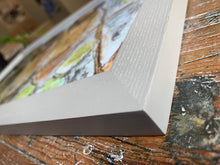 Load image into Gallery viewer, Norther Saw Whet Owl Print- Framed Archival Print