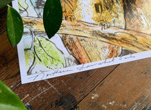 Load image into Gallery viewer, Norther Saw Whet Owl Print- Framed Archival Print