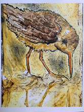 Load image into Gallery viewer, Clapper Rail Bird Print - Archival Print - 8X10 inches