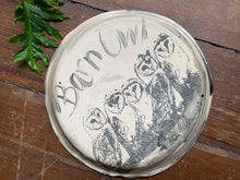 Load image into Gallery viewer, Barn Owl Plate - 11”