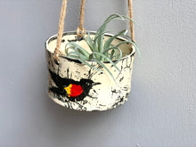 Load image into Gallery viewer, Red Winged Black Bird Bunny Hanging Planter