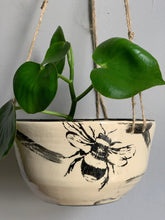 Load image into Gallery viewer, Honey Bee Hanging Planter- Small