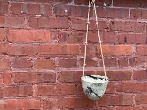 5 inch Robins Egg Blue Ceramic Dragonfly Hanging Planter