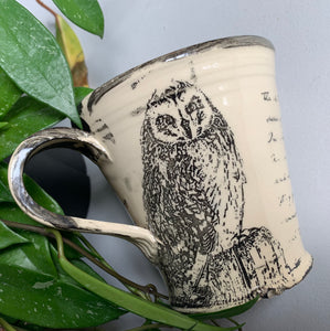 Short Earred Owl Mug