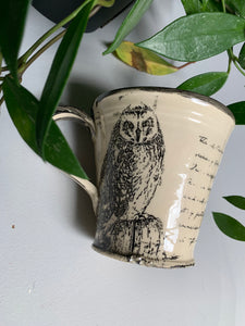 Short Earred Owl Mug