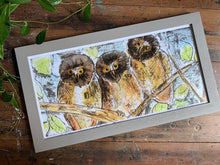 Load image into Gallery viewer, Norther Saw Whet Owl Print- Framed Archival Print