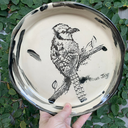 Blue Jay Plate