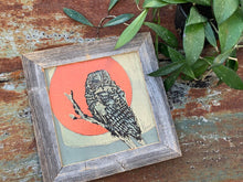 Load image into Gallery viewer, Barred Owl Copper Moon - Original Painting