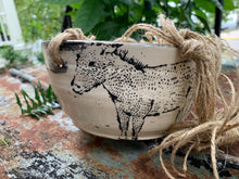Load image into Gallery viewer, Donkey Hanging Planter - Medium