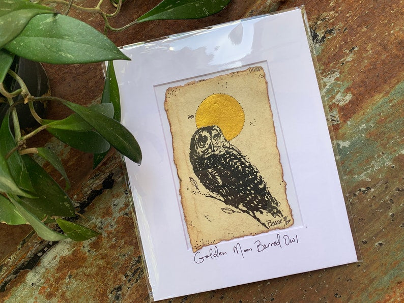 Golden Moon Barred Owl - Original Painting & Print