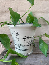 Load image into Gallery viewer, Blue Bird Planter - 4”