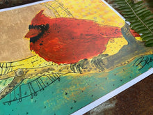 Load image into Gallery viewer, Cardinal Golden Sunrise Print - Archival Paper Print