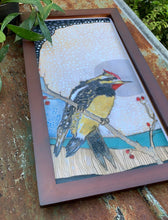 Load image into Gallery viewer, Yellow Bellied Sap Sucker - Framed Archival print