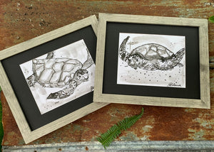 Original Loggerhead Turtle Pen and Ink - Original Drawings