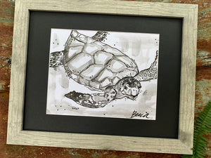 Original Loggerhead Turtle Pen and Ink - Original Drawings
