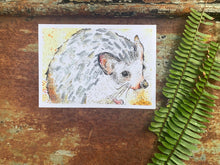 Load image into Gallery viewer, Hedgehog  Print - Archival Print