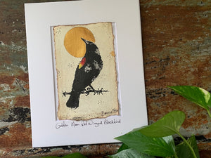 Golden Red Winged Black Bird - Original Painting & Print