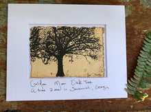 Load image into Gallery viewer, Oak Tree Horizontal - Original Painting &amp; Print