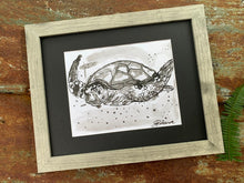 Load image into Gallery viewer, Original Loggerhead Turtle Pen and Ink - Original Drawings