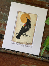 Load image into Gallery viewer, Golden Red Winged Black Bird - Original Painting &amp; Print