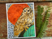 Load image into Gallery viewer, Resting Barred Owl - Archival Paper Print