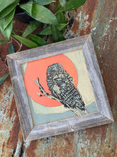 Load image into Gallery viewer, Barred Owl Copper Moon - Original Painting