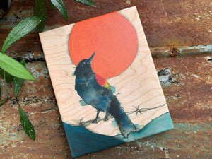 Red Winged Blackbird Copper Moon - Canvas Print