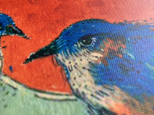 Eastern Bluebird Copper Moon - Canvas Print