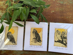 Golden Moon Barn Owl Set of 3 - Original Painting & Print